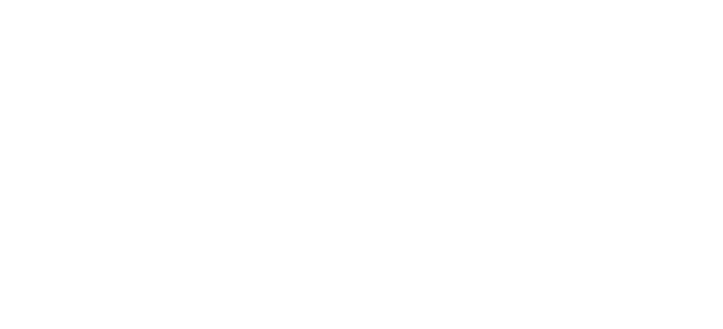 Logo de la Fondation Roi Baudoin